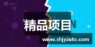精品项目